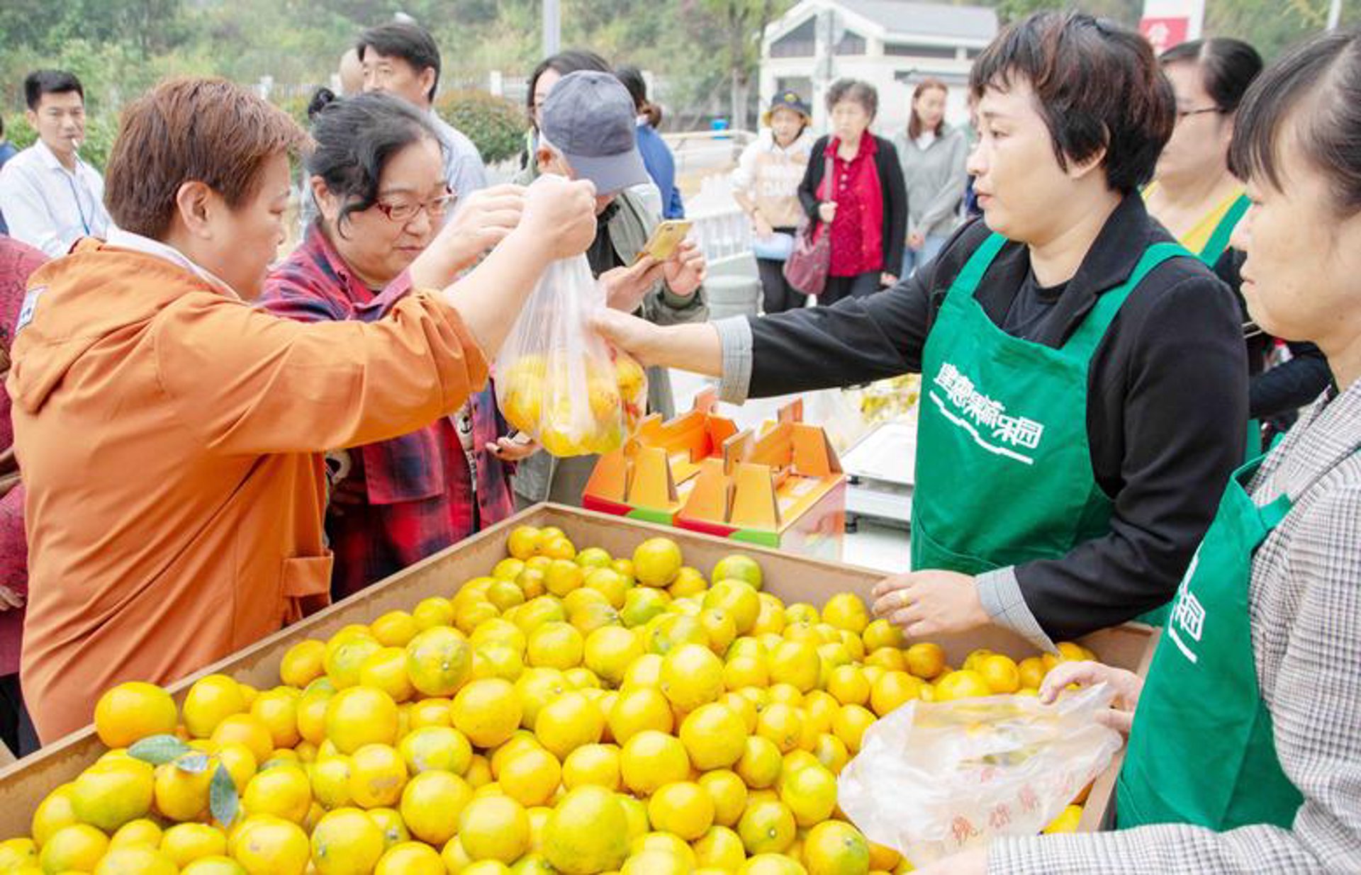 寻味千坊食品